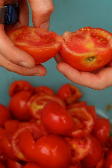 how to make crushed tomatoes