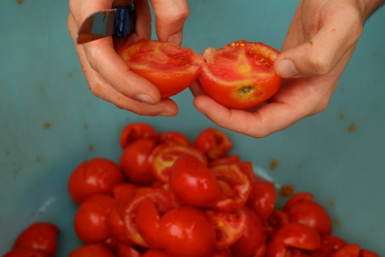 how to make crushed tomatoes